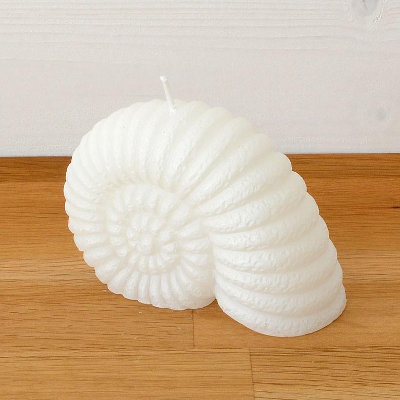 アンモナイトキャンドル キャンドル ろうそく ギフト プレゼント 贈り物 61120 | ブランド登録なし | 02