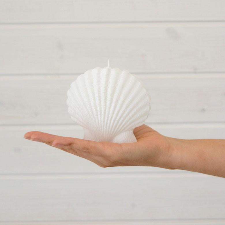 シェルキャンドル キャンドル ろうそく ギフト プレゼント 贈り物 61121 | ブランド登録なし | 06