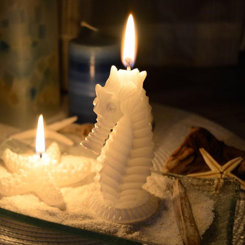 タツノオトシゴキャンドル キャンドル ろうそく ギフト プレゼント 贈り物 61122 | ブランド登録なし