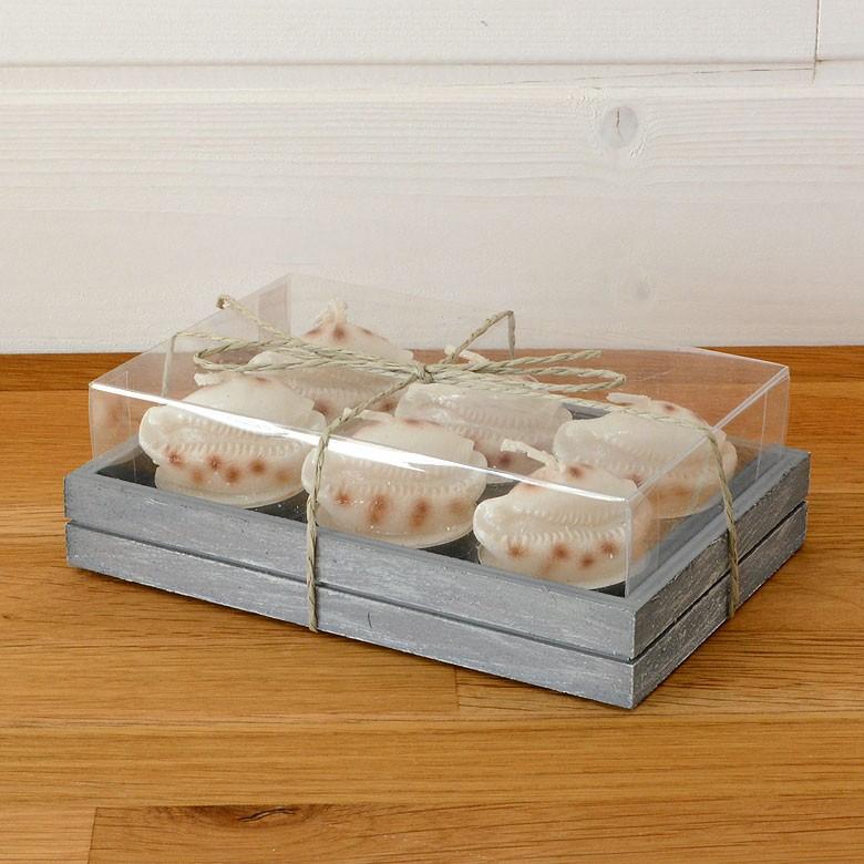 ティーライトキャンドル 6個入り タカラガイ キャンドル ろうそく ギフト プレゼント 贈り物 61140 | ブランド登録なし