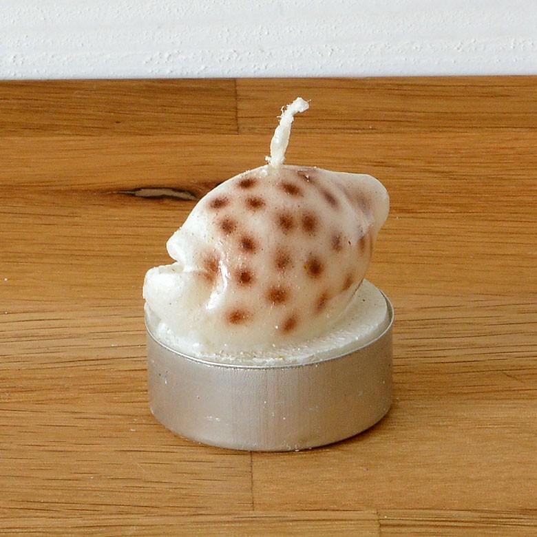 ティーライトキャンドル 6個入り タカラガイ キャンドル ろうそく ギフト プレゼント 贈り物 61140 | ブランド登録なし | 01