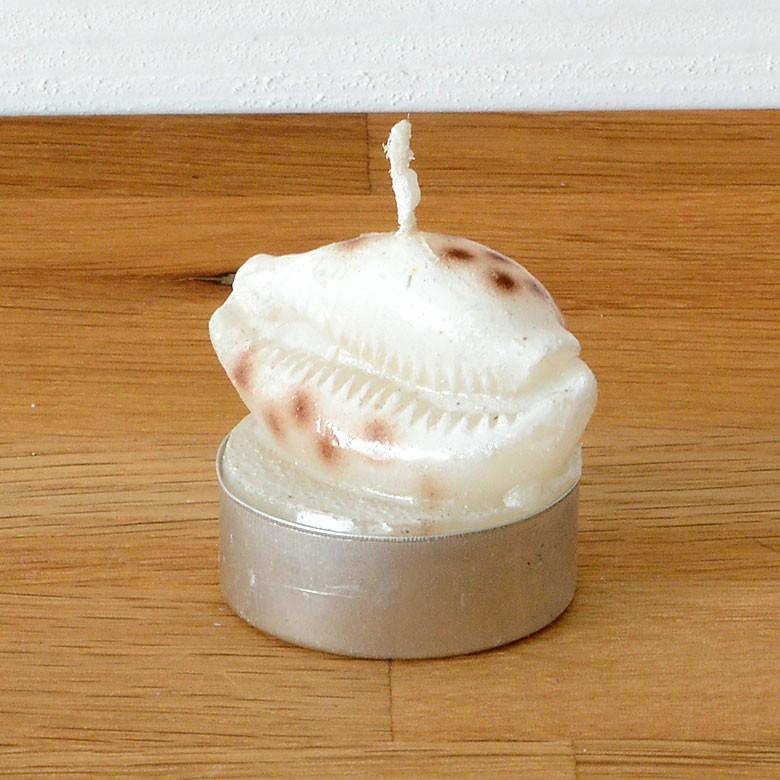 ティーライトキャンドル 6個入り タカラガイ キャンドル ろうそく ギフト プレゼント 贈り物 61140 | ブランド登録なし | 02