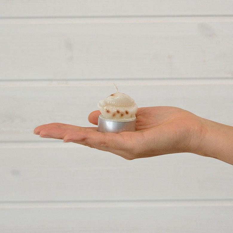 ティーライトキャンドル 6個入り タカラガイ キャンドル ろうそく ギフト プレゼント 贈り物 61140 | ブランド登録なし | 04