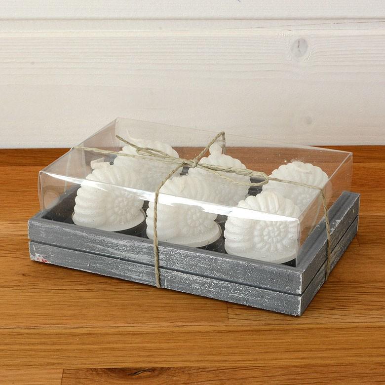 ティーライトキャンドル 6個入り アンモナイト キャンドル ろうそく ギフト プレゼント 贈り物 61143 | ブランド登録なし