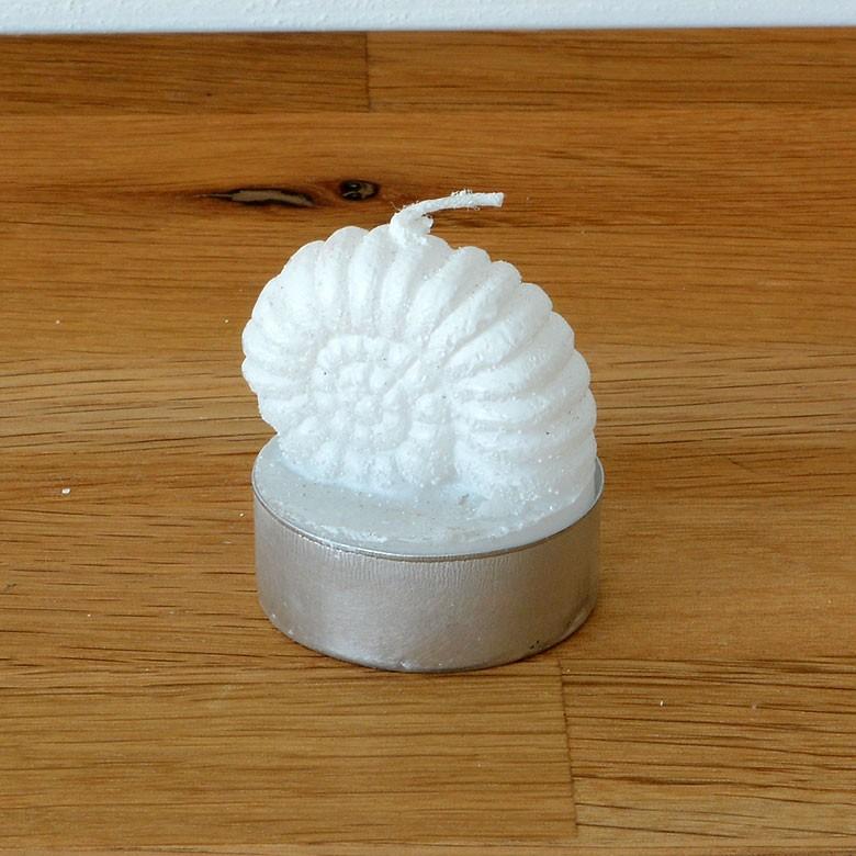 ティーライトキャンドル 6個入り アンモナイト キャンドル ろうそく ギフト プレゼント 贈り物 61143 | ブランド登録なし | 01