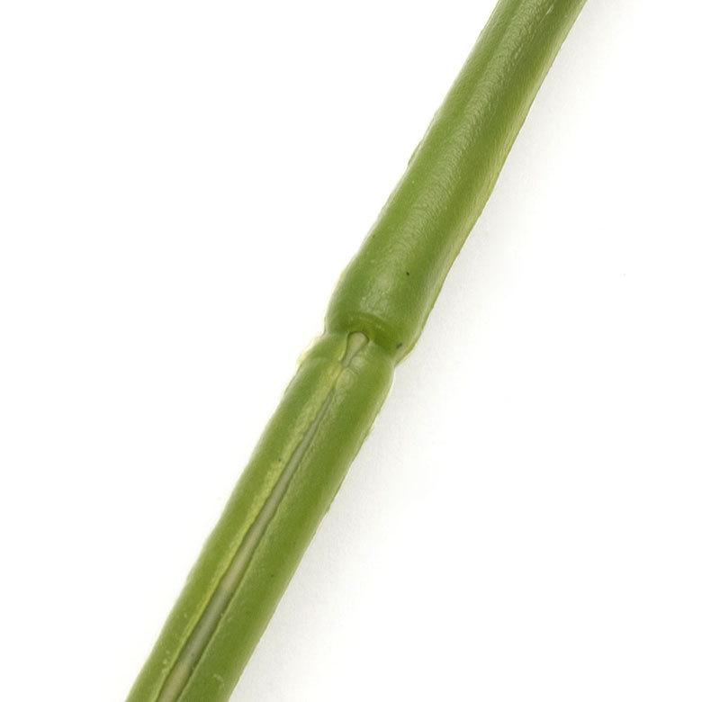 観葉植物 フェイクグリーン モンステラリーフ Mサイズ 造花 グリーン アートフラワー インテリア 雑貨 ハワイアン ナチュラル エスニック アジア工房 61400 | ブランド登録なし | 10