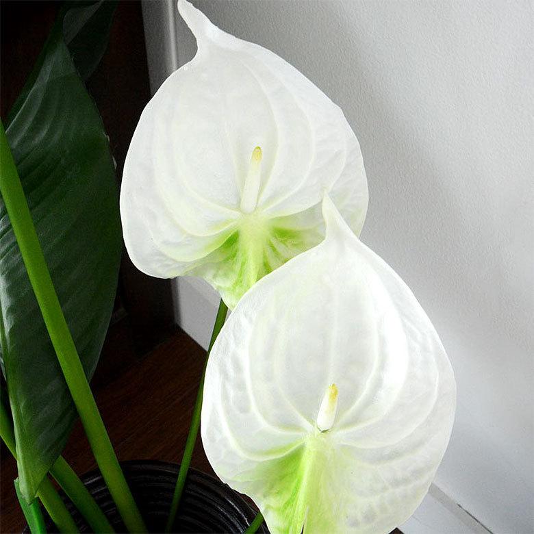 造花 アンスリウム 観葉植物 フェイクグリーン 枝付き アジアン雑貨 花飾り 3色展開 6160 | ブランド登録なし | 13