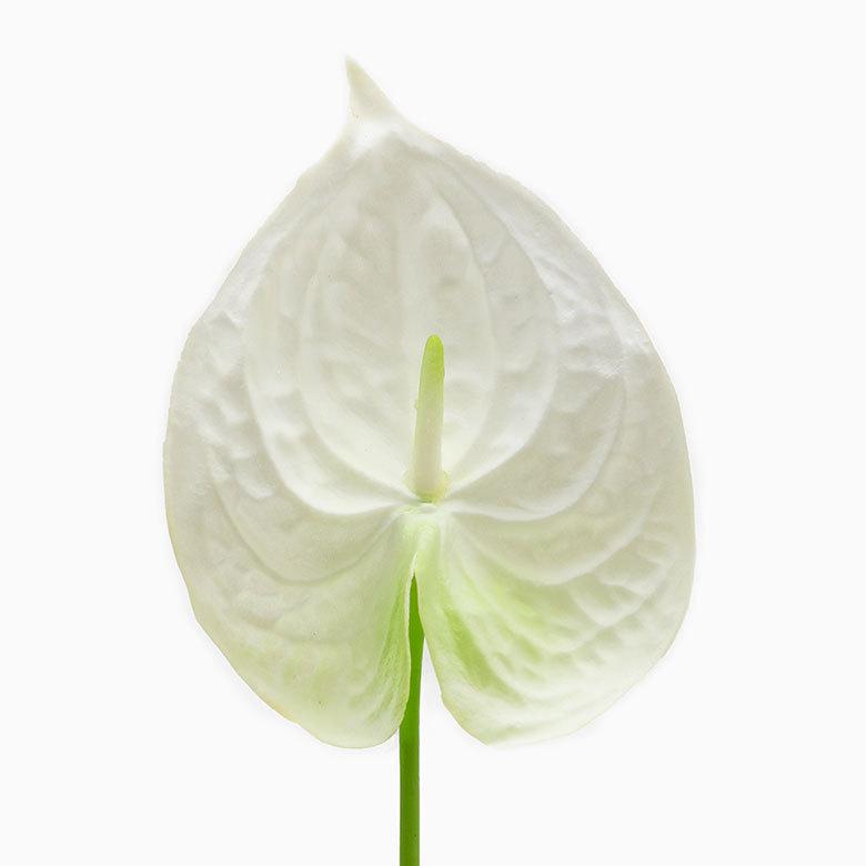 造花 アンスリウム 観葉植物 フェイクグリーン 枝付き アジアン雑貨 花飾り 3色展開 6160 | ブランド登録なし | 05