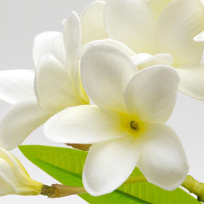 アーティフィシャルフラワー 造花 枝付き プルメリア  リゾート インテリア アジアン雑貨 飾り オブジェ ナチュラル 6162 | ブランド登録なし | 11