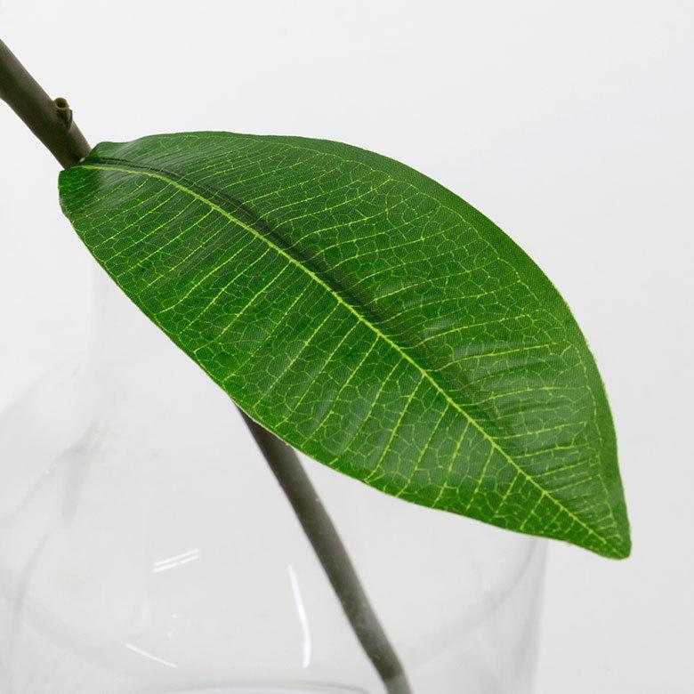 アーティフィシャルフラワー 造花 枝付き プルメリア  リゾート インテリア アジアン雑貨 飾り オブジェ ナチュラル 6162 | ブランド登録なし | 13