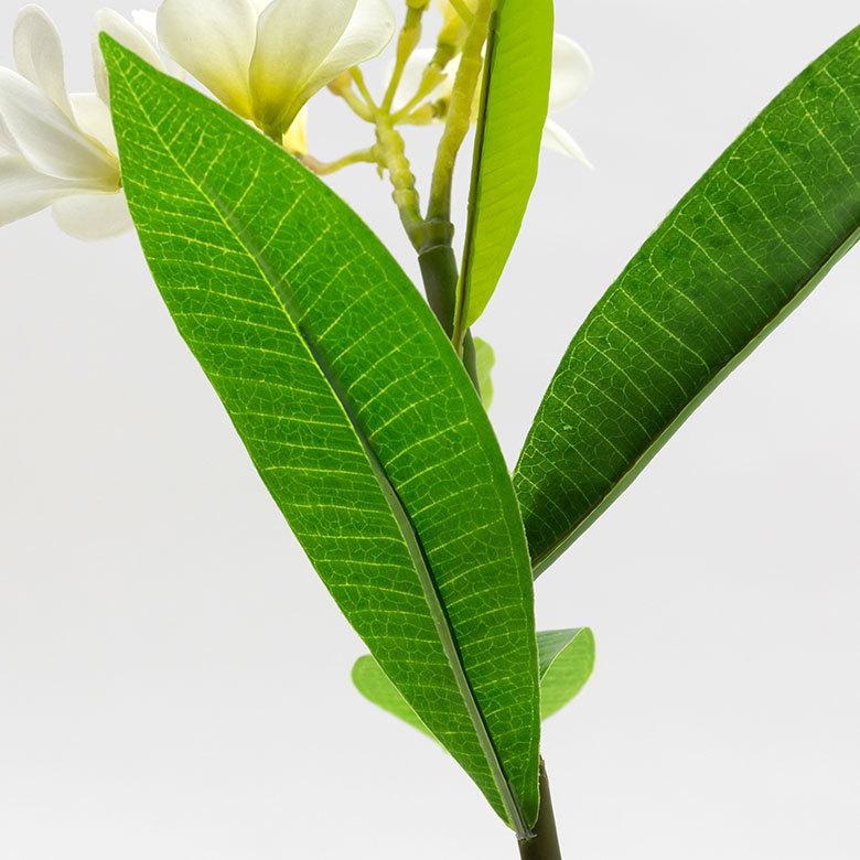 アーティフィシャルフラワー 造花 枝付き プルメリア  リゾート インテリア アジアン雑貨 飾り オブジェ ナチュラル 6162 | ブランド登録なし | 14