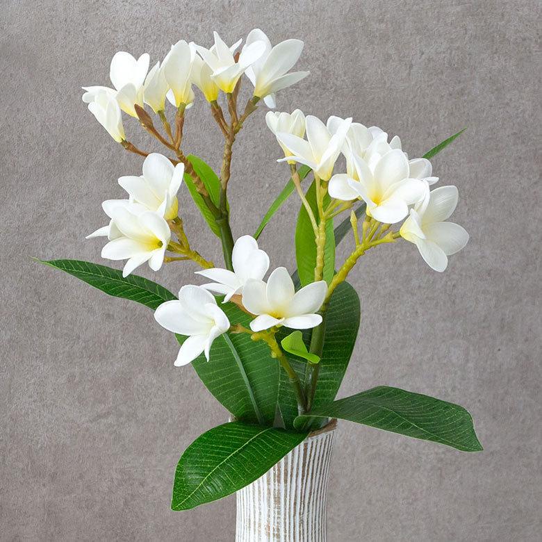 アーティフィシャルフラワー 造花 枝付き プルメリア  リゾート インテリア アジアン雑貨 飾り オブジェ ナチュラル 6162 | ブランド登録なし | 16