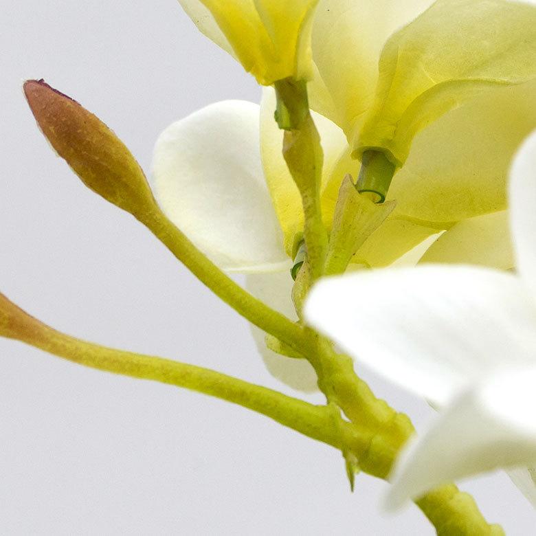 アーティフィシャルフラワー 造花 枝付き プルメリア  リゾート インテリア アジアン雑貨 飾り オブジェ ナチュラル 6162 | ブランド登録なし | 17