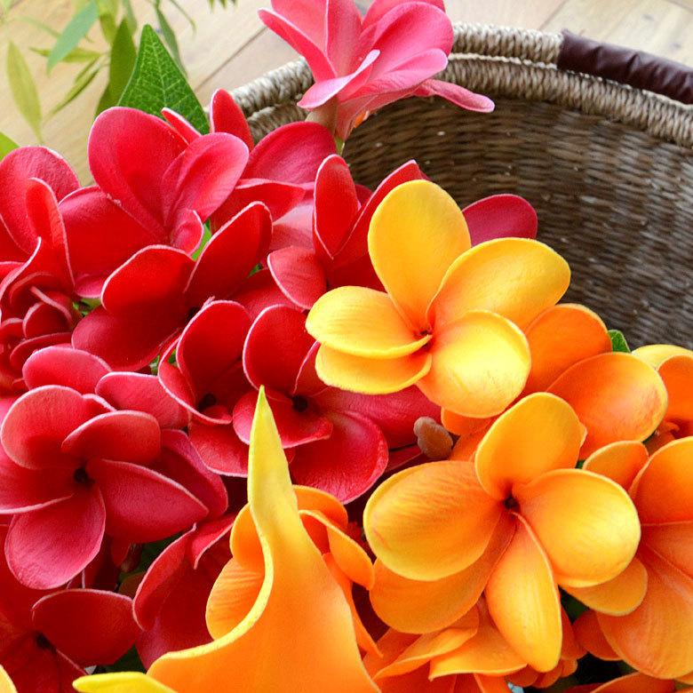 アーティフィシャルフラワー 造花 枝付き プルメリア  リゾート インテリア アジアン雑貨 飾り オブジェ ナチュラル 6162 | ブランド登録なし | 02