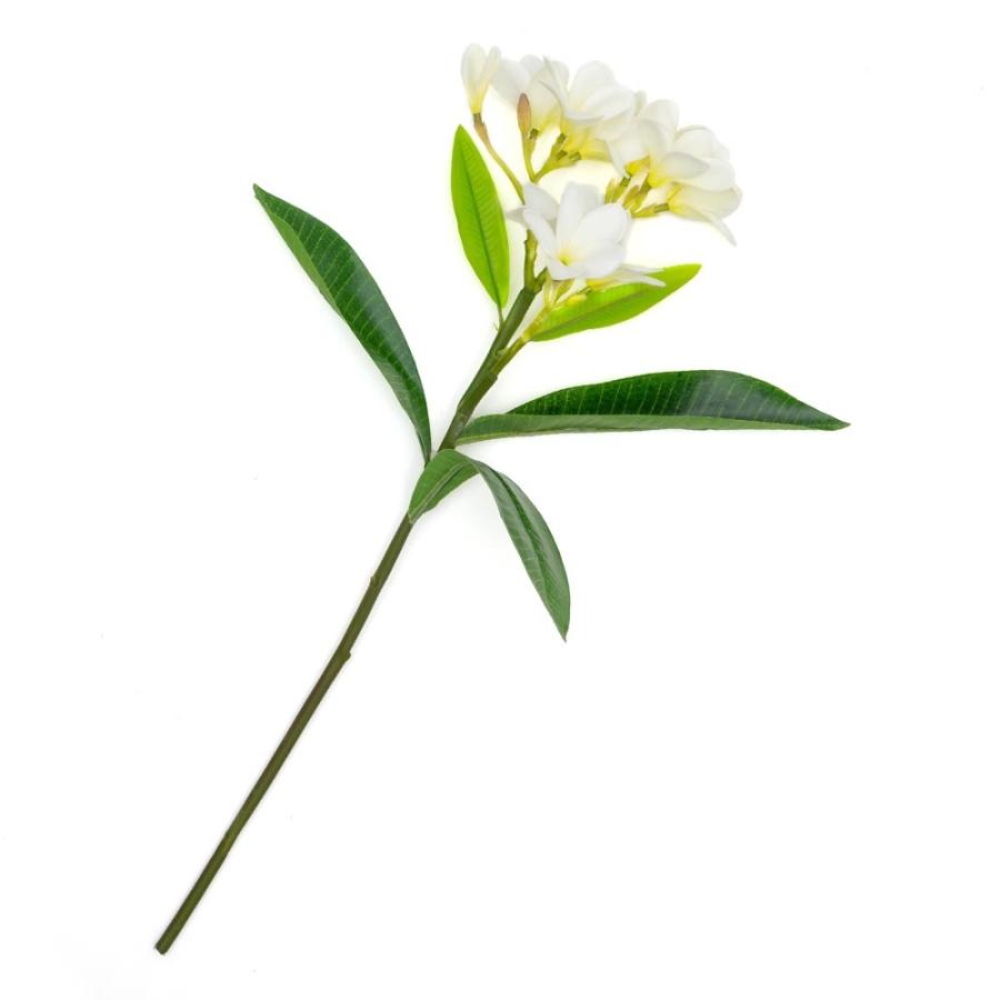 アーティフィシャルフラワー 造花 枝付き プルメリア  リゾート インテリア アジアン雑貨 飾り オブジェ ナチュラル 6162 | ブランド登録なし | 20