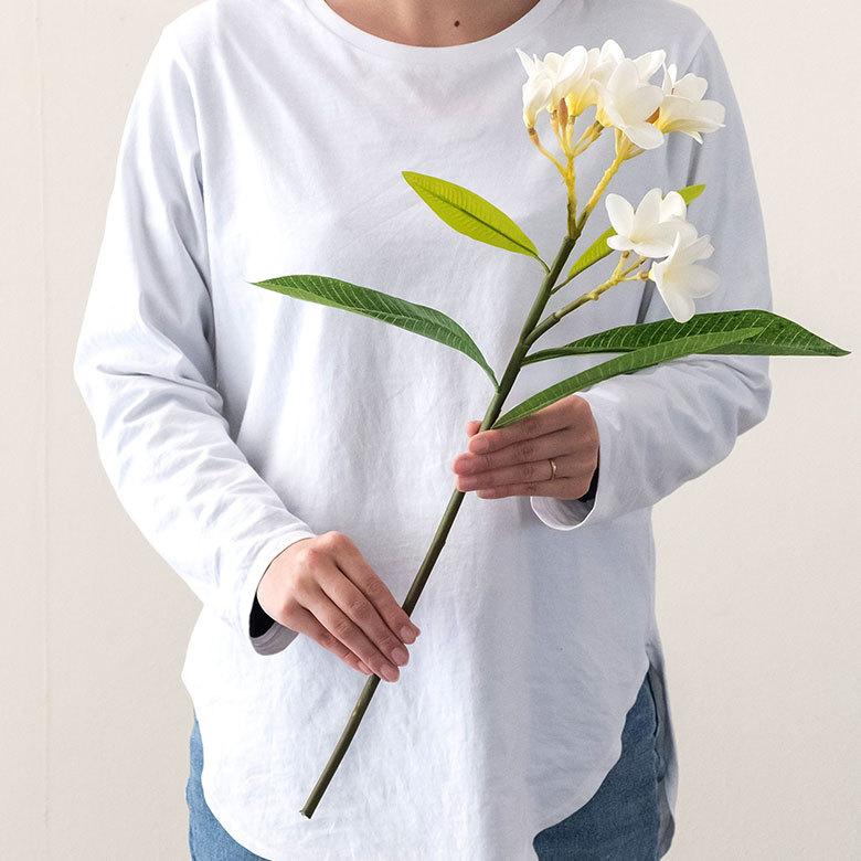 アーティフィシャルフラワー 造花 枝付き プルメリア  リゾート インテリア アジアン雑貨 飾り オブジェ ナチュラル 6162 | ブランド登録なし | 04