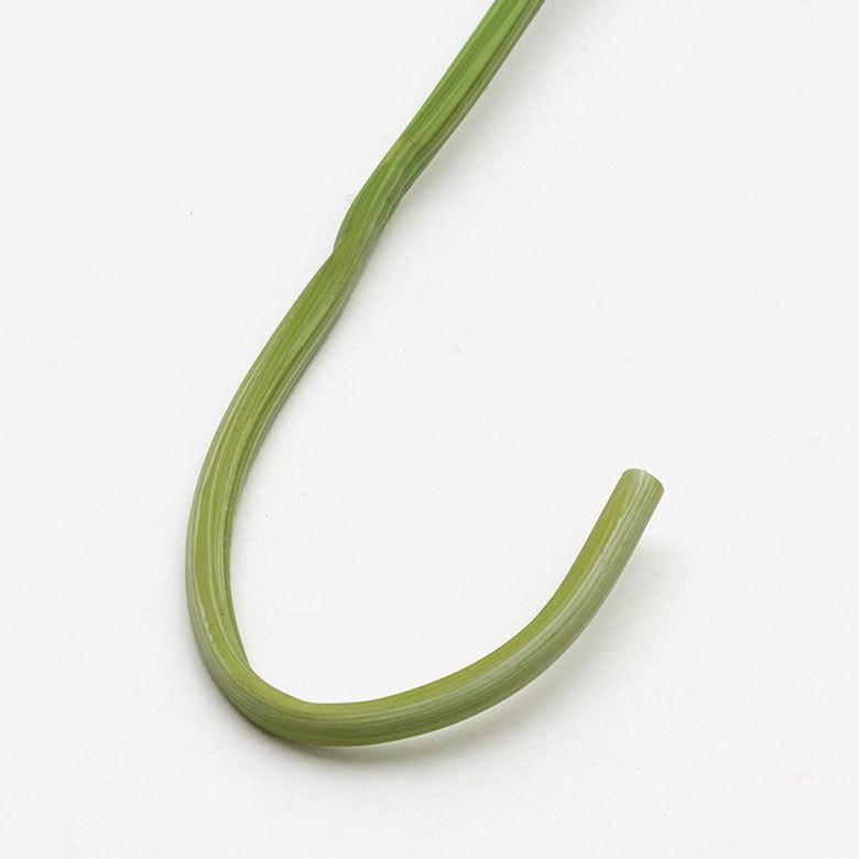 造花 カラーリリー ショート 観葉植物 フェイクグリーン 枝付き リゾート アジアン雑貨 花かざり 3色展開 6164 | ブランド登録なし | 06