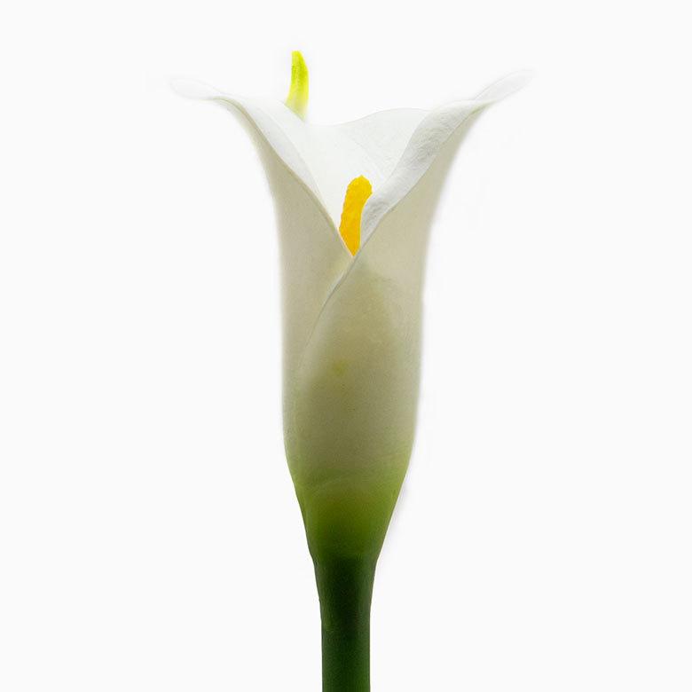 アートフラワー 造花 カラー リリー ロング 3色 フェイクグリーン リゾート アジアン雑貨 ナチュラル インテリア アーティフィシャルフラワー 観葉植物 6165 | ブランド登録なし | 15