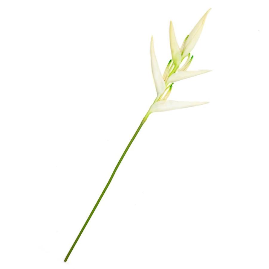 アートフラワー フラワー 観葉植物 ヘリコニア プシッタコルム アーティフィシャルフラワー リゾート アジアン雑貨 グリーン フェイク 花 アジア工房 6166 | ブランド登録なし | 17