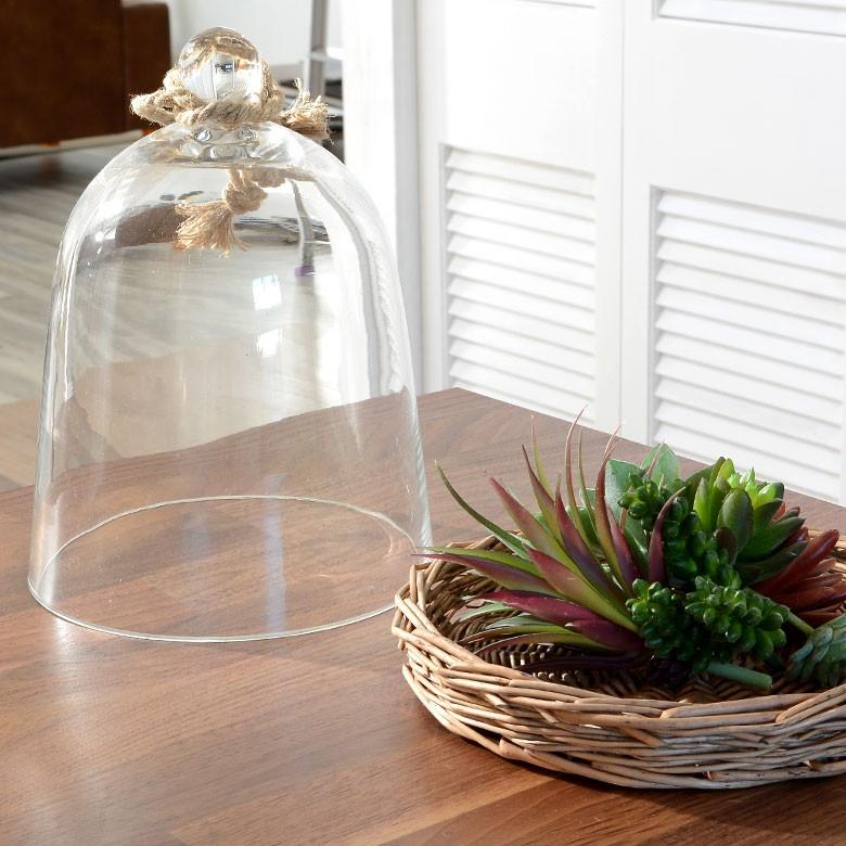 ガラスドーム バスケット トレイ付き ガラス フードストッカー ディスプレイケース テラリウム エアプランツ ガラスケース ショーケース キッチン用品 62150 | ブランド登録なし | 13