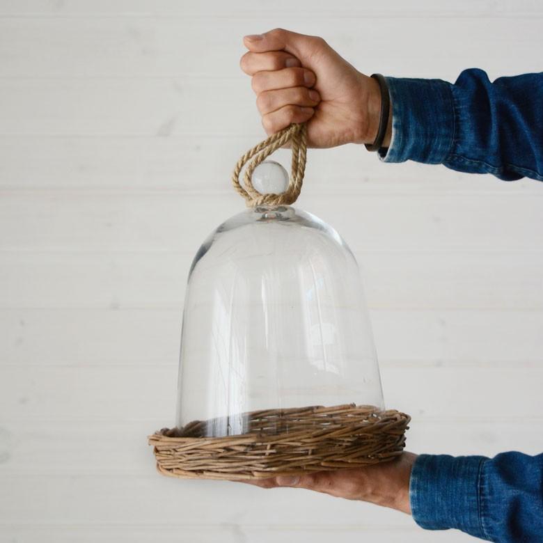 ガラスドーム バスケット トレイ付き ガラス フードストッカー ディスプレイケース テラリウム エアプランツ ガラスケース ショーケース キッチン用品 62150 | ブランド登録なし | 17