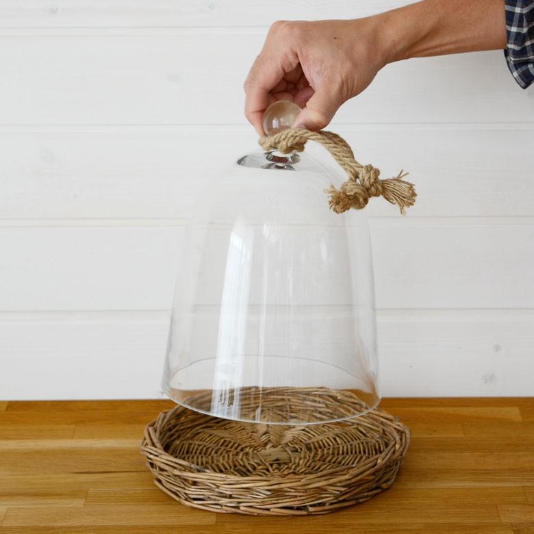 ガラスドーム バスケット トレイ付き ガラス フードストッカー ディスプレイケース テラリウム エアプランツ ガラスケース ショーケース キッチン用品 62150 | ブランド登録なし | 03