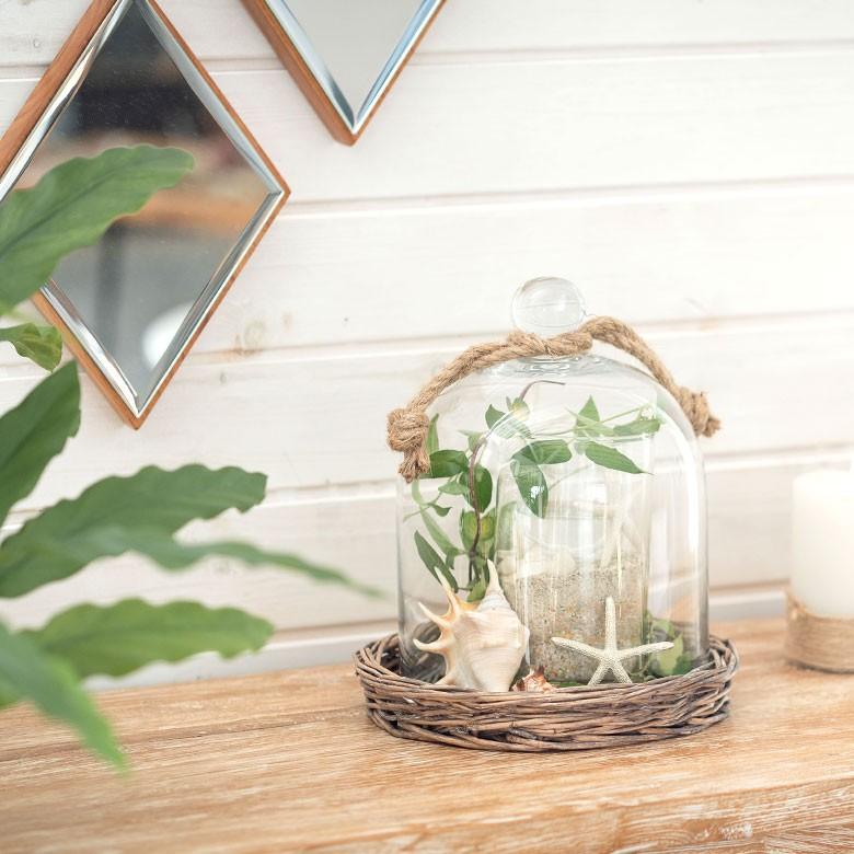 ガラスドーム バスケット トレイ付き ガラス フードストッカー ディスプレイケース テラリウム エアプランツ ガラスケース ショーケース キッチン用品 62150 | ブランド登録なし | 06