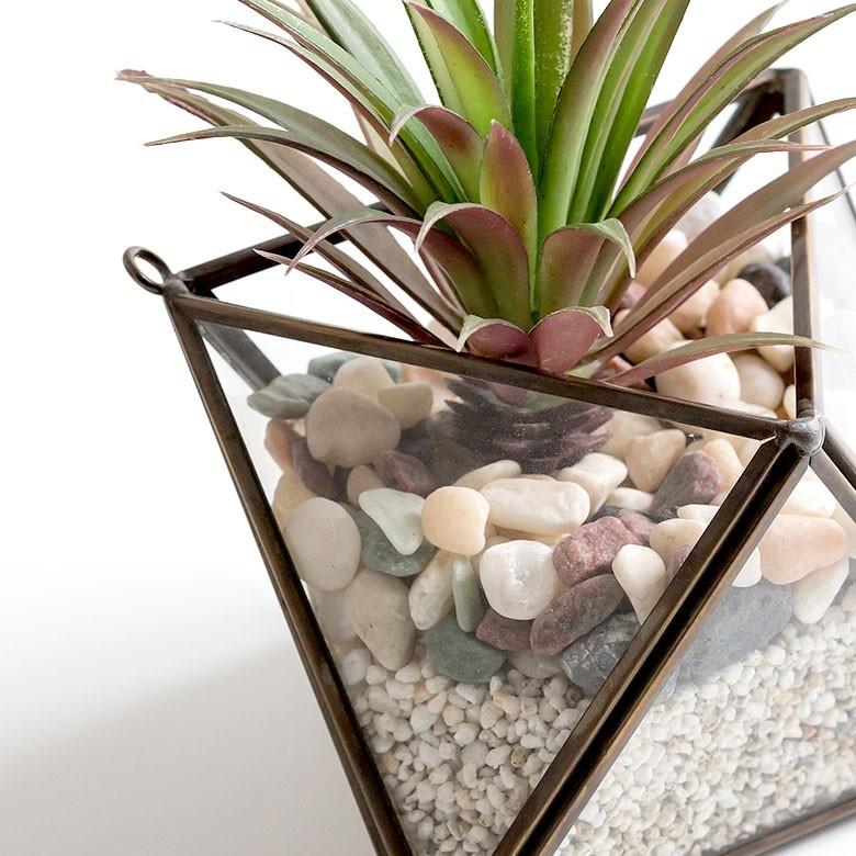 ガラス製　ディスプレイケース　テラリウム テラリウム用ガラスケース02 – Bonmel(ボンメル)