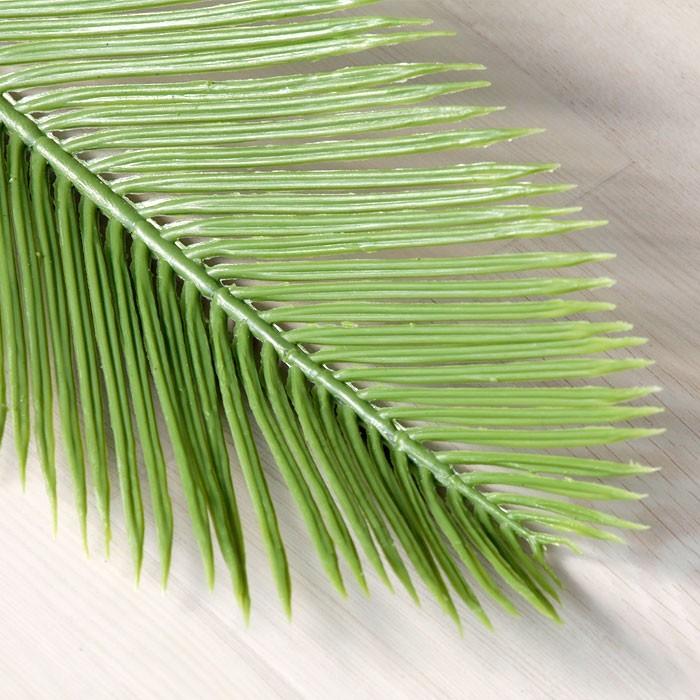 ソテツリーフ 観葉植物 フェイクグリーン 63481 | ブランド登録なし | 02