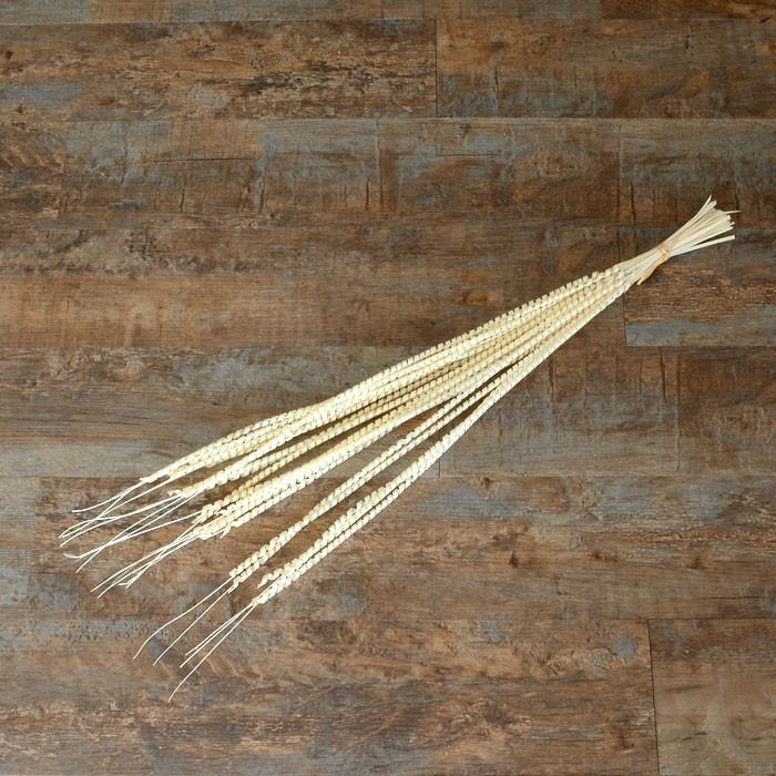 柳で出来たスパイラルのアートプランツ 3色展開 6361 | ブランド登録なし | 04