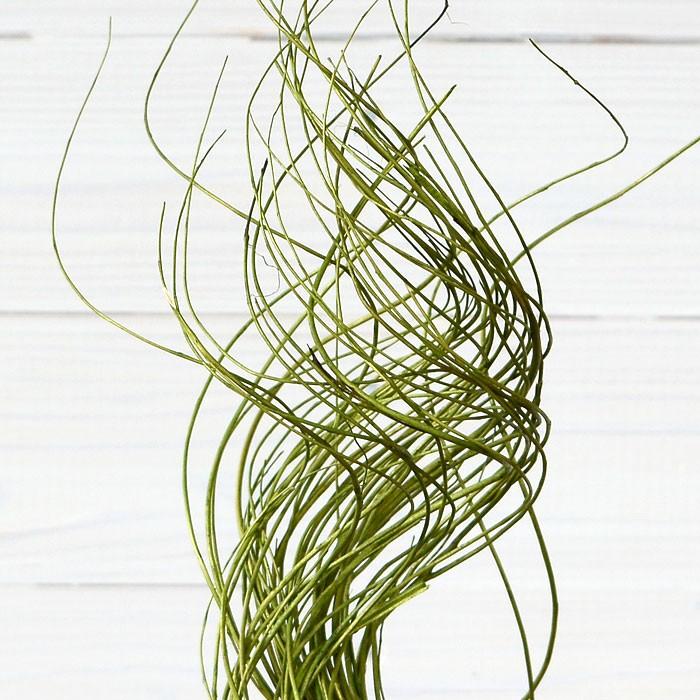 柳で出来たくねくねアートプランツ 3色展開 6363 | ブランド登録なし | 02