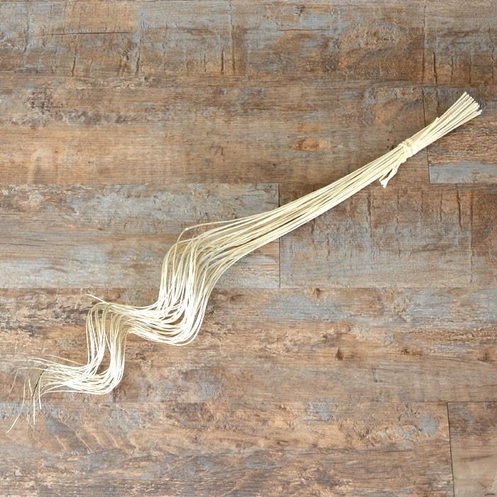 柳で出来たくねくねアートプランツ 3色展開 6363 | ブランド登録なし | 03