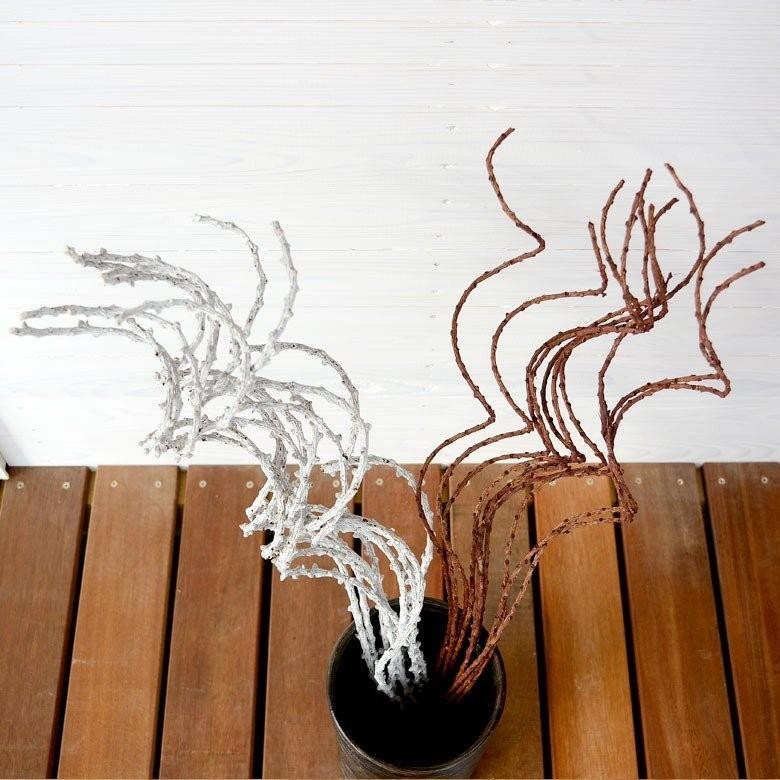 サルトリイバラのぐるぐるアートプランツ 2色展開 6364 | ブランド登録なし