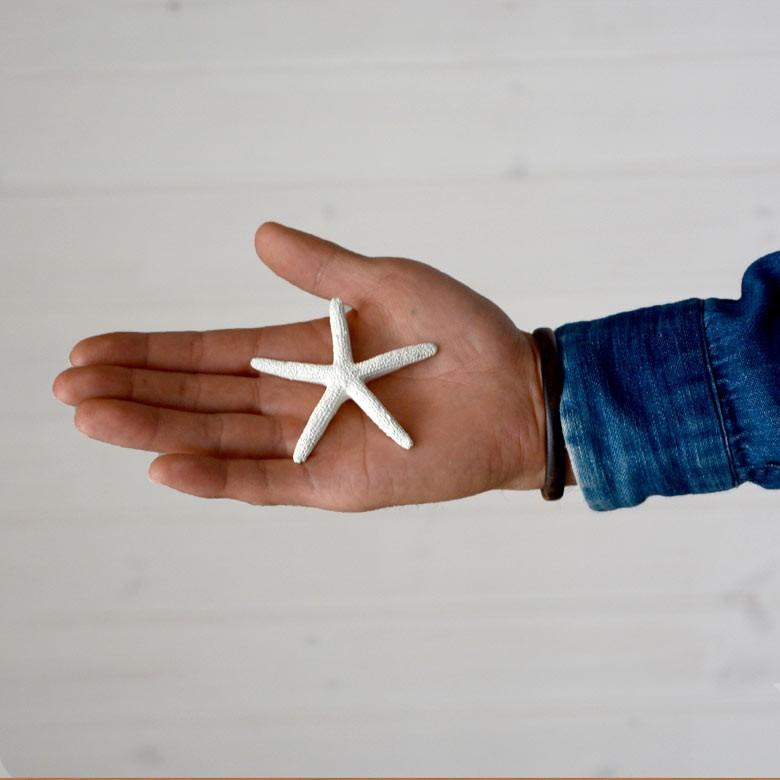 スターフィッシュ ヒトデ 貝殻 オブジェ インテリア 置物 白 ゴールド