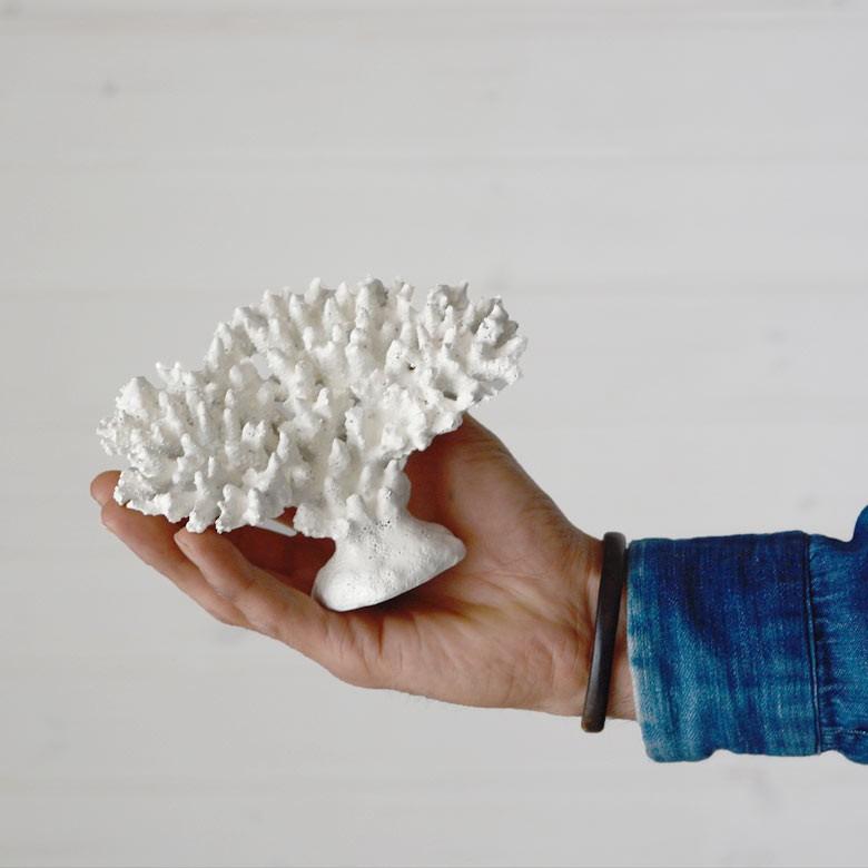 オートゥルノトゥルス　サンゴのオブジェ 水犀・mizusai