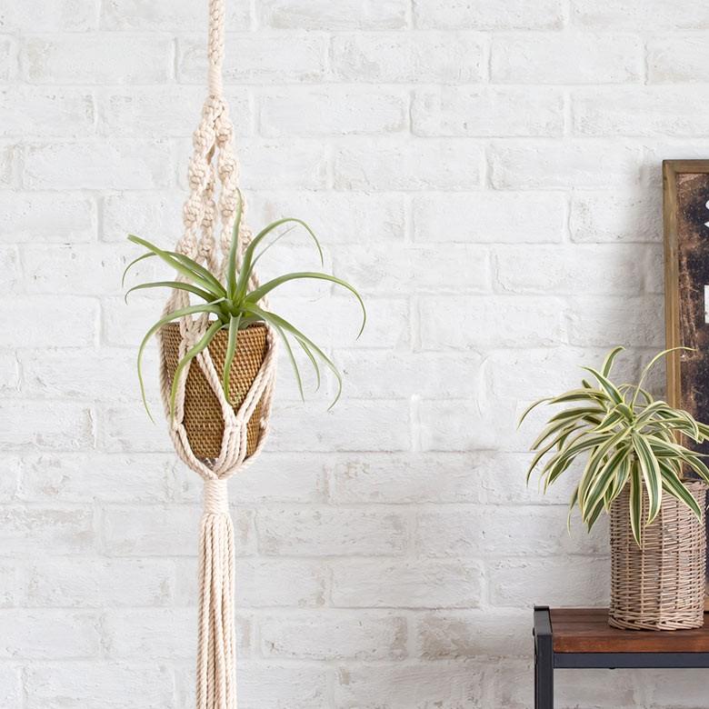 ハンギングプランター プランツハンガー マクラメハンギング コットンロープ シングルタイプ 西海岸 男前 64720 | ブランド登録なし | 01