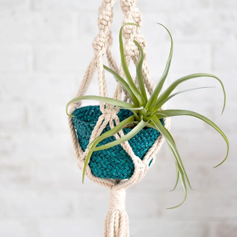 ハンギングプランター プランツハンガー マクラメハンギング コットンロープ シングルタイプ 西海岸 男前 64720 | ブランド登録なし | 03