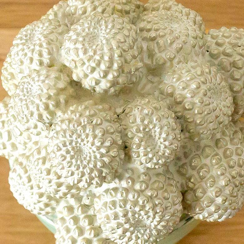 置物 オブジェ 多肉植物 サボテン アンティーク風 観葉植物 インテリア 男前 西海岸風 ビーチハウス コピアポア おしゃれ フェイクグリーン 64801 | ブランド登録なし | 01