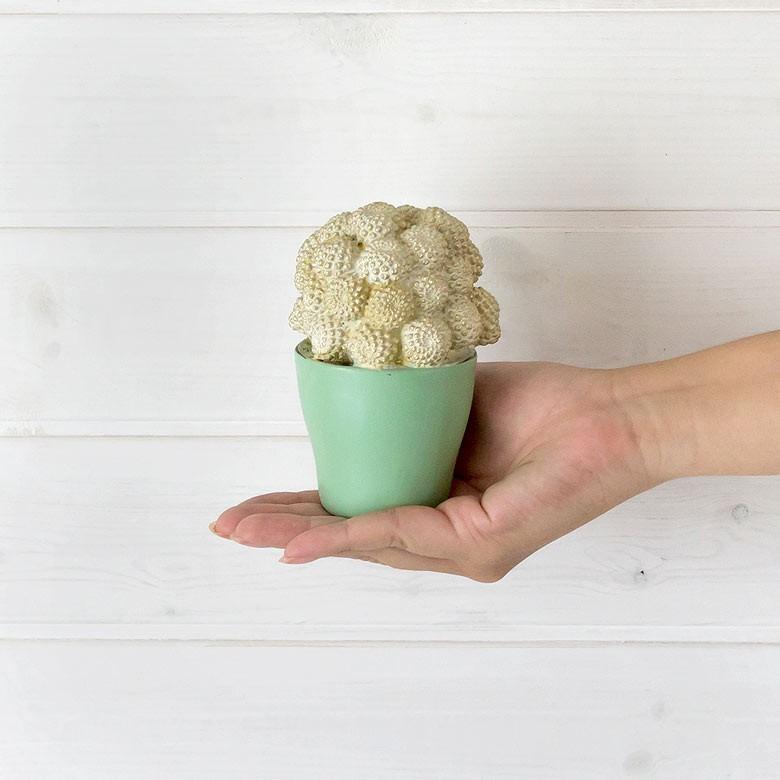 置物 オブジェ 多肉植物 サボテン アンティーク風 観葉植物 インテリア 男前 西海岸風 ビーチハウス コピアポア おしゃれ フェイクグリーン 64801 | ブランド登録なし | 02