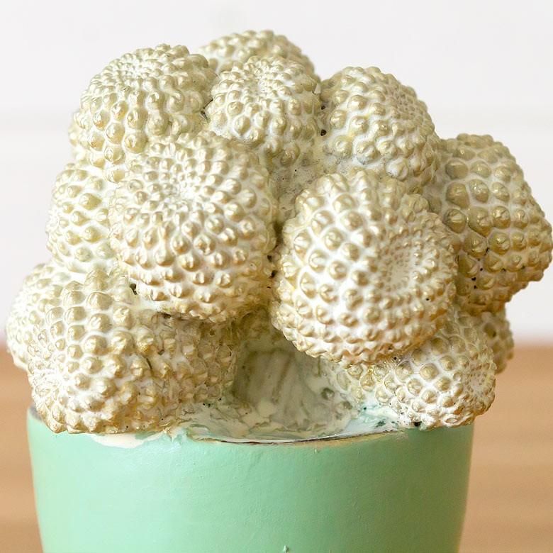 置物 オブジェ 多肉植物 サボテン アンティーク風 観葉植物 インテリア 男前 西海岸風 ビーチハウス コピアポア おしゃれ フェイクグリーン 64801 | ブランド登録なし | 05