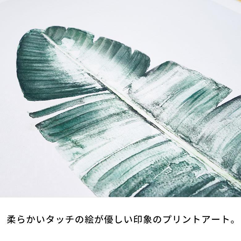 インテリアアートパネル アートフレーム 壁掛け アート 植物 フレーム付き アートパネル 南国 バナナの葉 リビング アートポスター インテリア 西海岸 65371 | ELEMENTS（インテリア） | 07