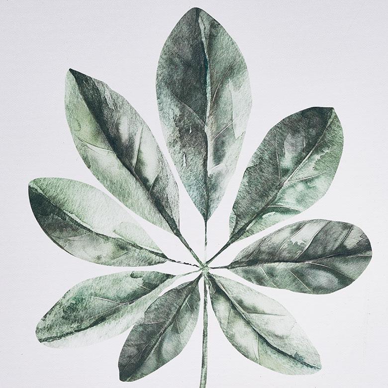 インテリアアートパネル アートフレーム 壁掛け アート 植物 フレーム付き アートパネル 南国 リーフ リビング アートポスター インテリア 絵画 西海岸 65373 | ELEMENTS（インテリア） | 01