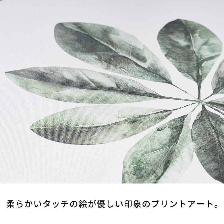 インテリアアートパネル アートフレーム 壁掛け アート 植物 フレーム付き アートパネル 南国 リーフ リビング アートポスター インテリア 絵画 西海岸 65373 | ELEMENTS（インテリア） | 07