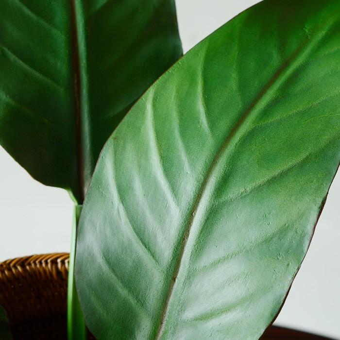 フェイクグリーン 大きい葉っぱ ストレリチアリーフ Sサイズ リアルな造花観葉植物 枝付き アーティフィシャルグリーン Elements 通販 Yahoo ショッピング