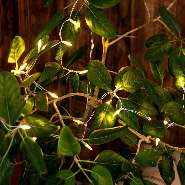 イルミネーション 電池式 LED ストリングライト 3m 30球 ライト 電飾 室内 間接 照明 ディスプレイ インテリア 壁 オーナメント クリスマス 誕生日 器具 66513 | ブランド登録なし | 08