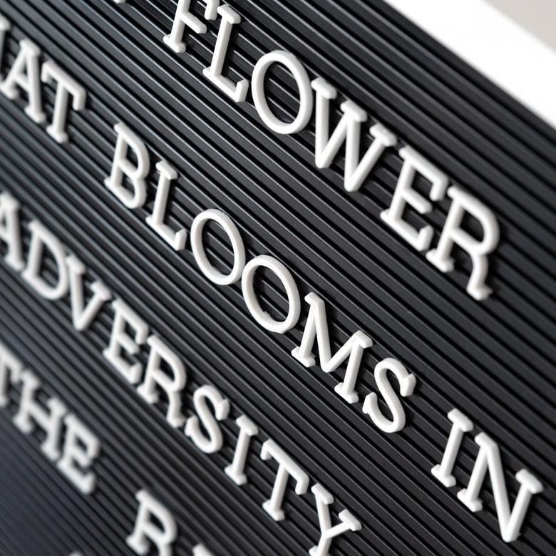 レターボード 文字パーツ付き 幅40cm 長方形 英文字 数字 結婚式 サインボード メッセージボード ウェルカムボード Mサイズ ブラック 66751 | ELEMENTS（インテリア） | 05