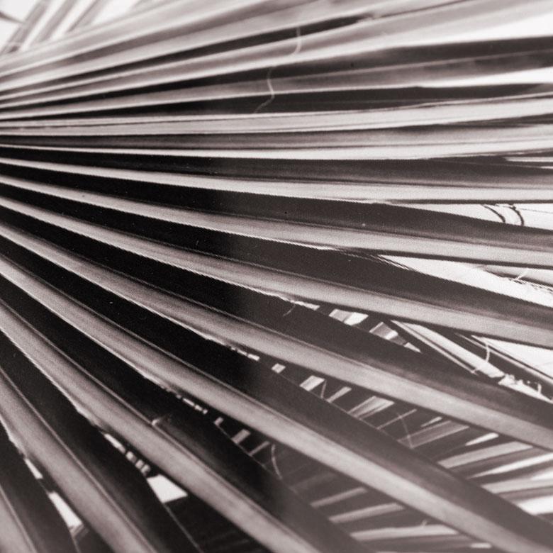 ELEMENTS（インテリア） 壁掛けアート アートフレーム アートパネル