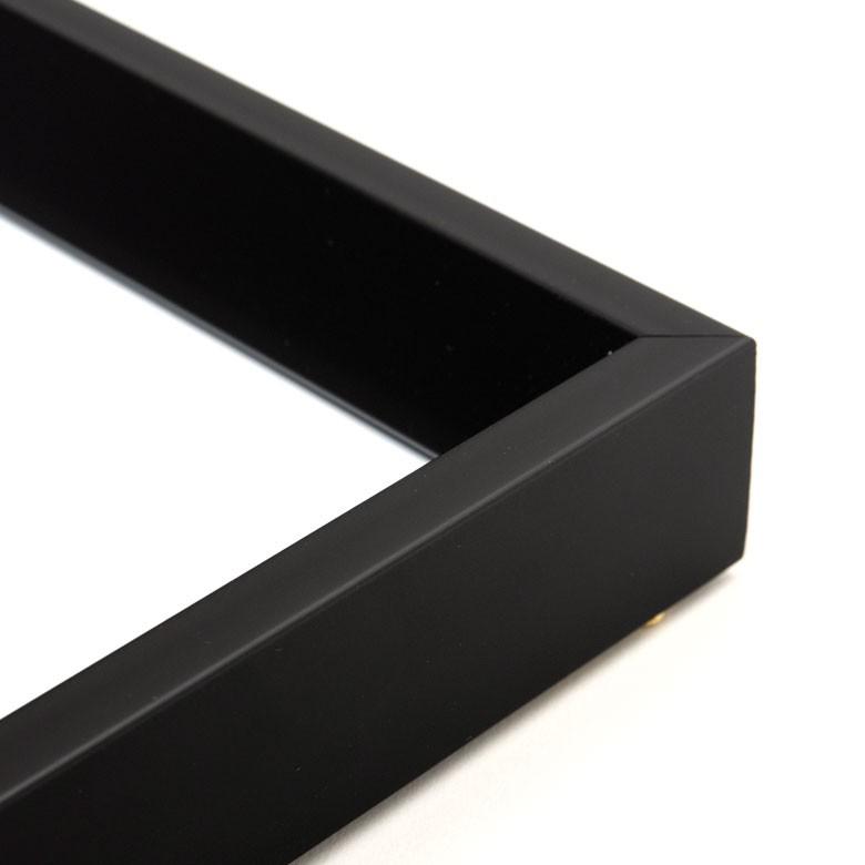 壁掛けアート アートフレーム アートパネル モノクロ ボタニカル 50×50cmフォト 写真 黒 ブラック フレーム パネル インテリア シンプル スタイリッシュ 66805 | ELEMENTS（インテリア） | 10