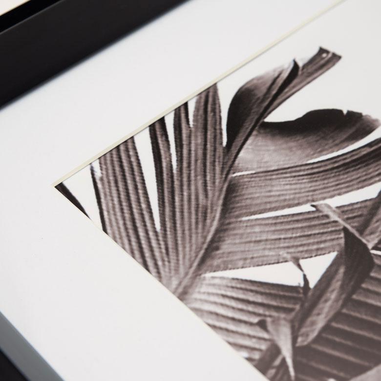 壁掛けアート アートフレーム アートパネル モノクロ ボタニカル 50×50cmフォト 写真 黒 ブラック フレーム パネル インテリア シンプル スタイリッシュ 66805 | ELEMENTS（インテリア） | 03