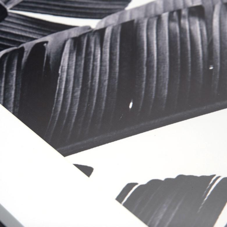 壁掛けアート アートフレーム アートパネル モノクロ ボタニカル 50×50cmフォト 写真 黒 ブラック フレーム パネル インテリア シンプル スタイリッシュ 66805｜elements｜08